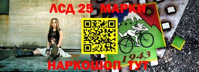 прущие грибы Конаково