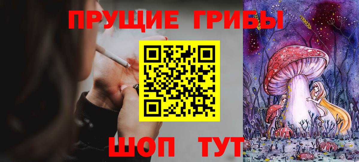 Галлюциногенные грибы MAGIC MUSHROOMS  Псилоцибиновые грибы Psilocybine cubensis  Красноармейск  Вход с VPN 