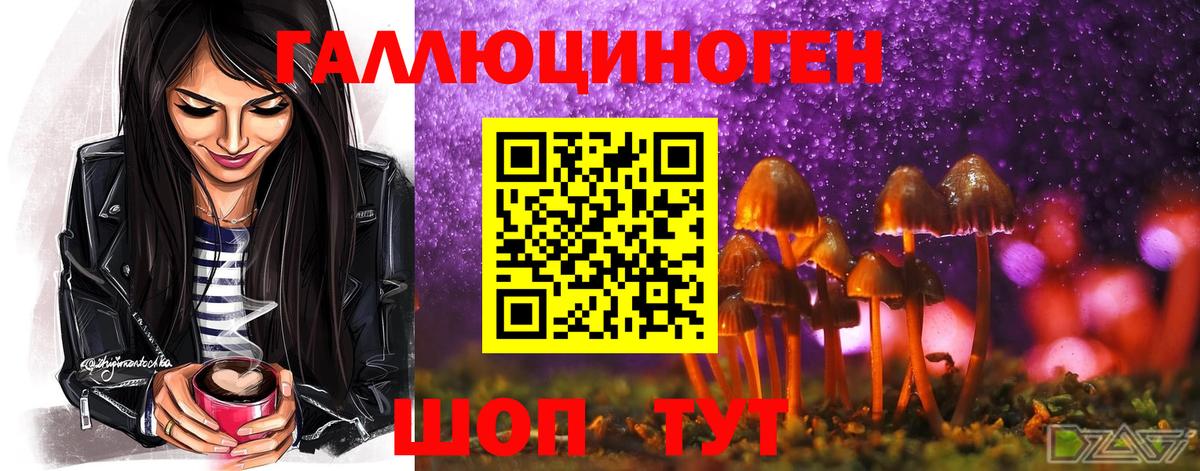 Псилоцибиновые грибы GOLDEN TEACHER Красноармейск